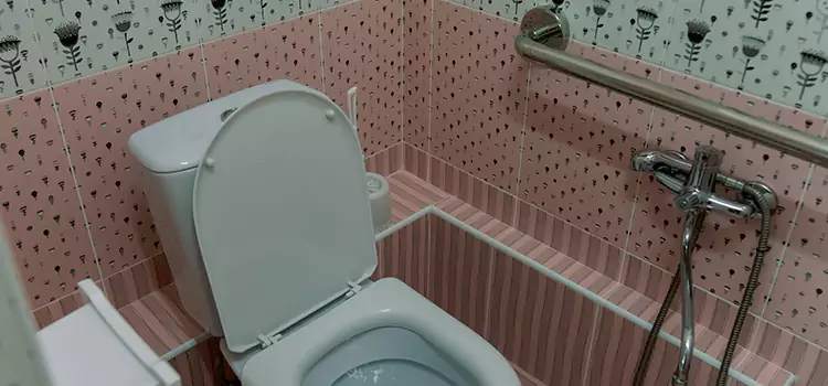 Meeting Diverse Needs With Accessible Restroom Solutions in Pleasanton, CA